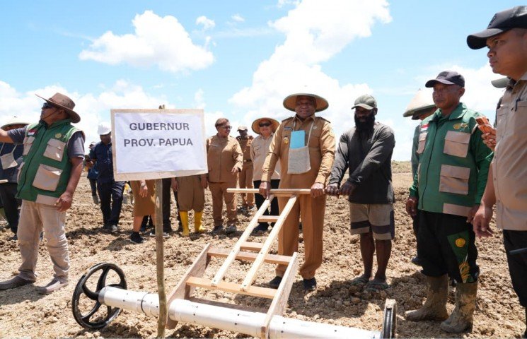 Gubernur Papua Dorong Masyarakat Adat Senggi Mandiri Kelola Sawah